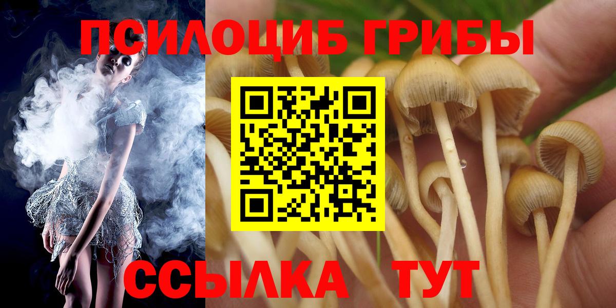 Галлюциногенные грибы мухоморы Павловский Посад